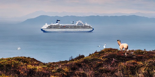 The Best Cruise Itineraries for Wildlife Enthusiasts in 2023